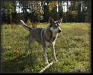 16 Hoest-Herbst-Autumn 07 * 2944 x 2379 * (6.87MB)